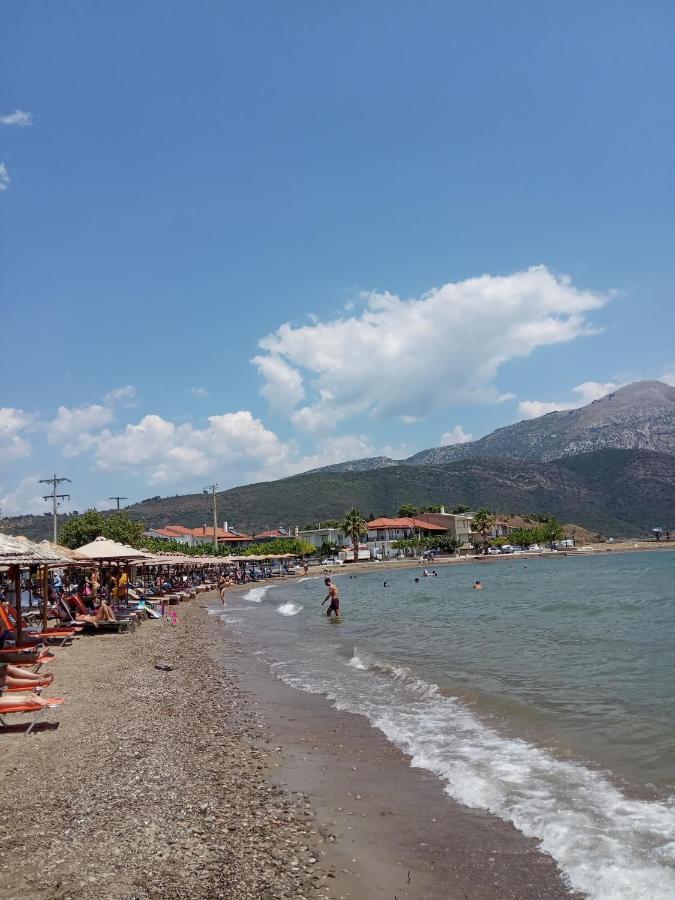 Πέτρινο Στη Θάλασσα Daire Nafpaktos Dış mekan fotoğraf