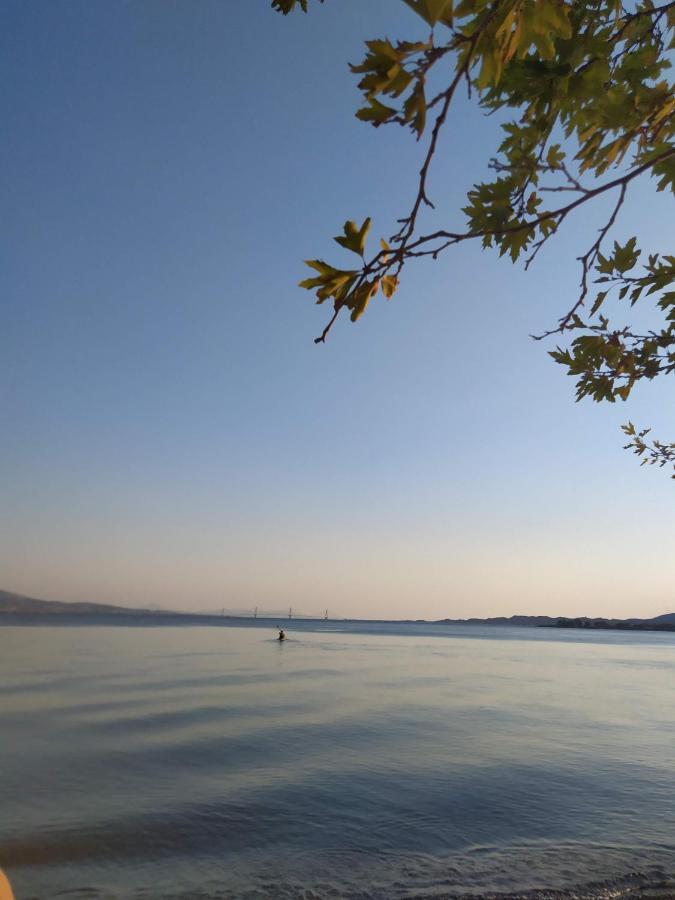 Πέτρινο Στη Θάλασσα Daire Nafpaktos Dış mekan fotoğraf