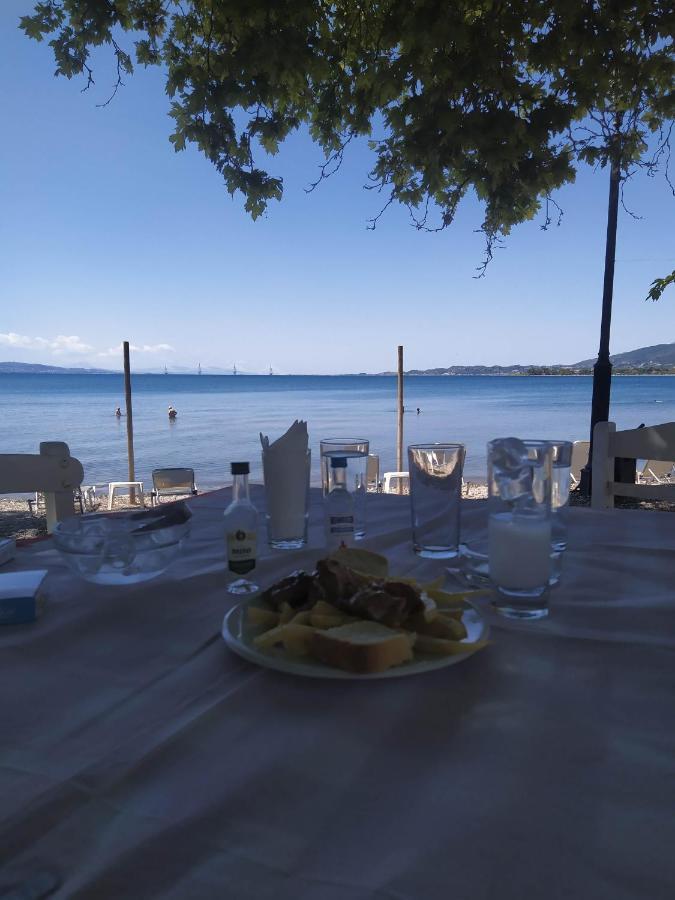 Πέτρινο Στη Θάλασσα Daire Nafpaktos Dış mekan fotoğraf