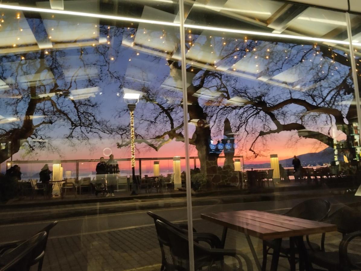 Πέτρινο Στη Θάλασσα Daire Nafpaktos Dış mekan fotoğraf