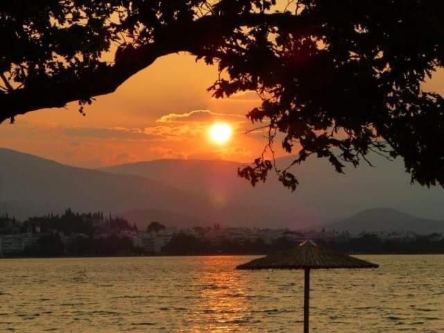 Πέτρινο Στη Θάλασσα Daire Nafpaktos Dış mekan fotoğraf