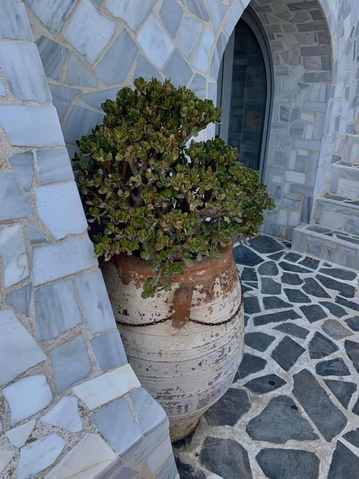 Πέτρινο Στη Θάλασσα Daire Nafpaktos Dış mekan fotoğraf