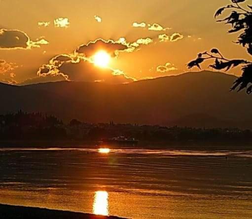 Πέτρινο Στη Θάλασσα Daire Nafpaktos Dış mekan fotoğraf